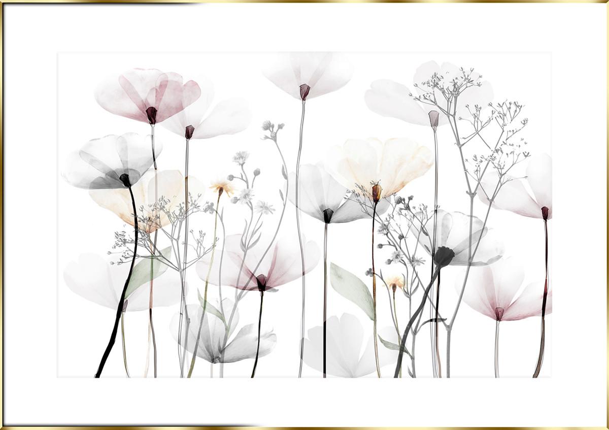 Bild Elena ca. 70x100cm - Pink/Goldfarben, Holzwerkstoff/Papier (100/70cm) - Modern Living