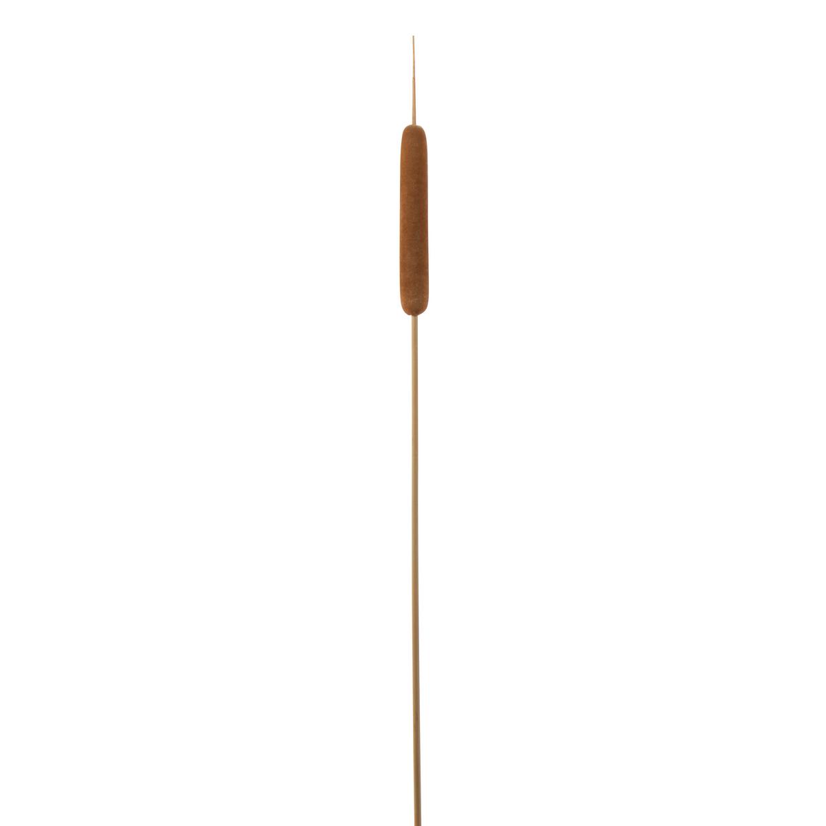 Dekor Növény Nád - barna/natúr, természetes anyagok (77cm) - Modern Living