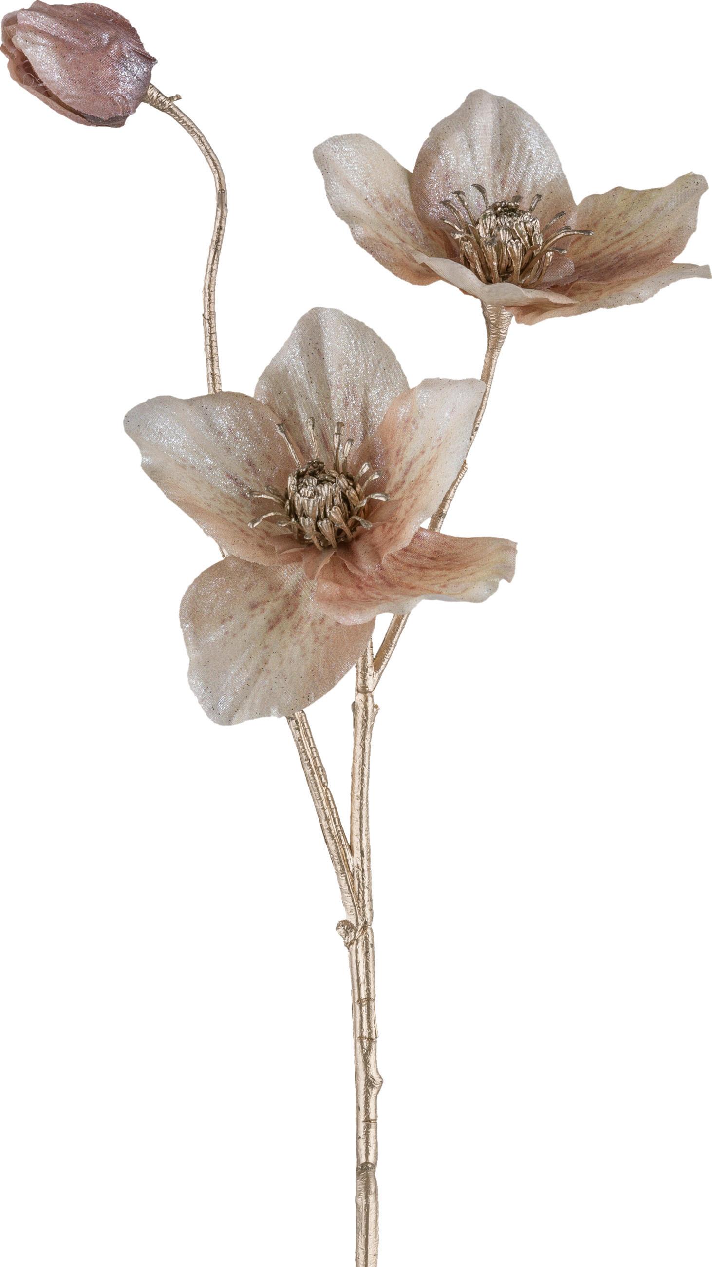 Ramură decorativă Christrose I - bej, Konventionell, plastic (56cm) - Modern Living