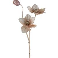 Ramură decorativă Christrose I - bej, Konventionell, plastic (56cm) - Modern Living