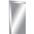 Wandspiegel in Silberfarben - Silberfarben, Glas (60/160cm)