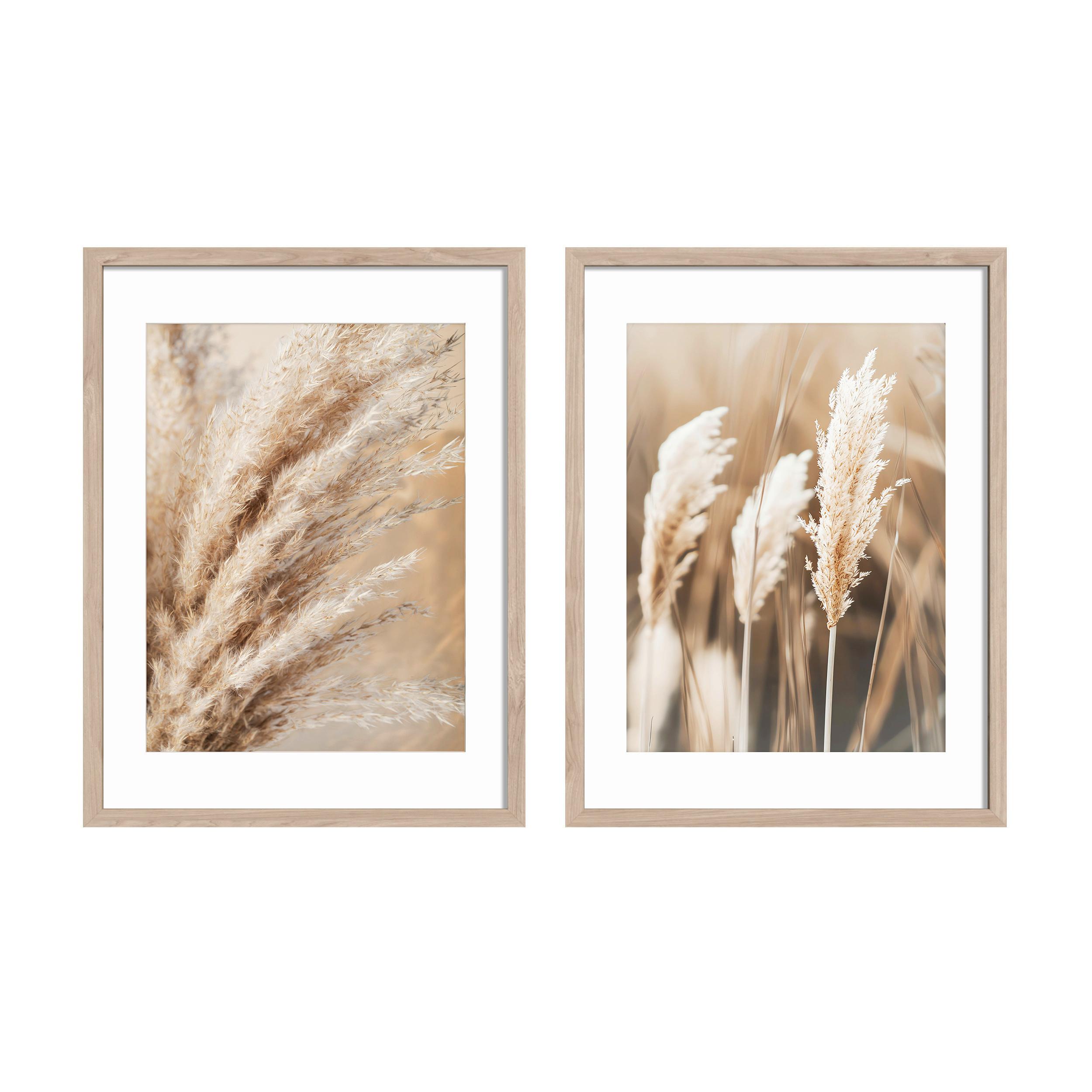 Bilderset Selloana Beige ca. 30x40cm - Beige, Basics, Holz/Papier (30/40/2.5cm)