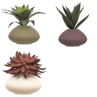Kunstpflanze Sukkulente Multicolor diverse Farben - Bordeaux/Weiß, Keramik/Kunststoff (22/28cm) - Mömax