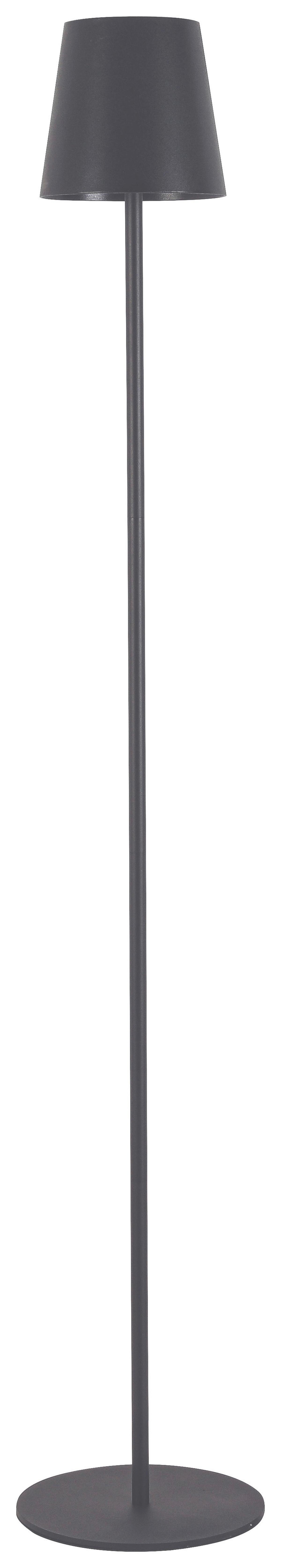 LED Állólámpa Ausi - antracit, Modern, műanyag/fém (22/130cm) - Modern Living