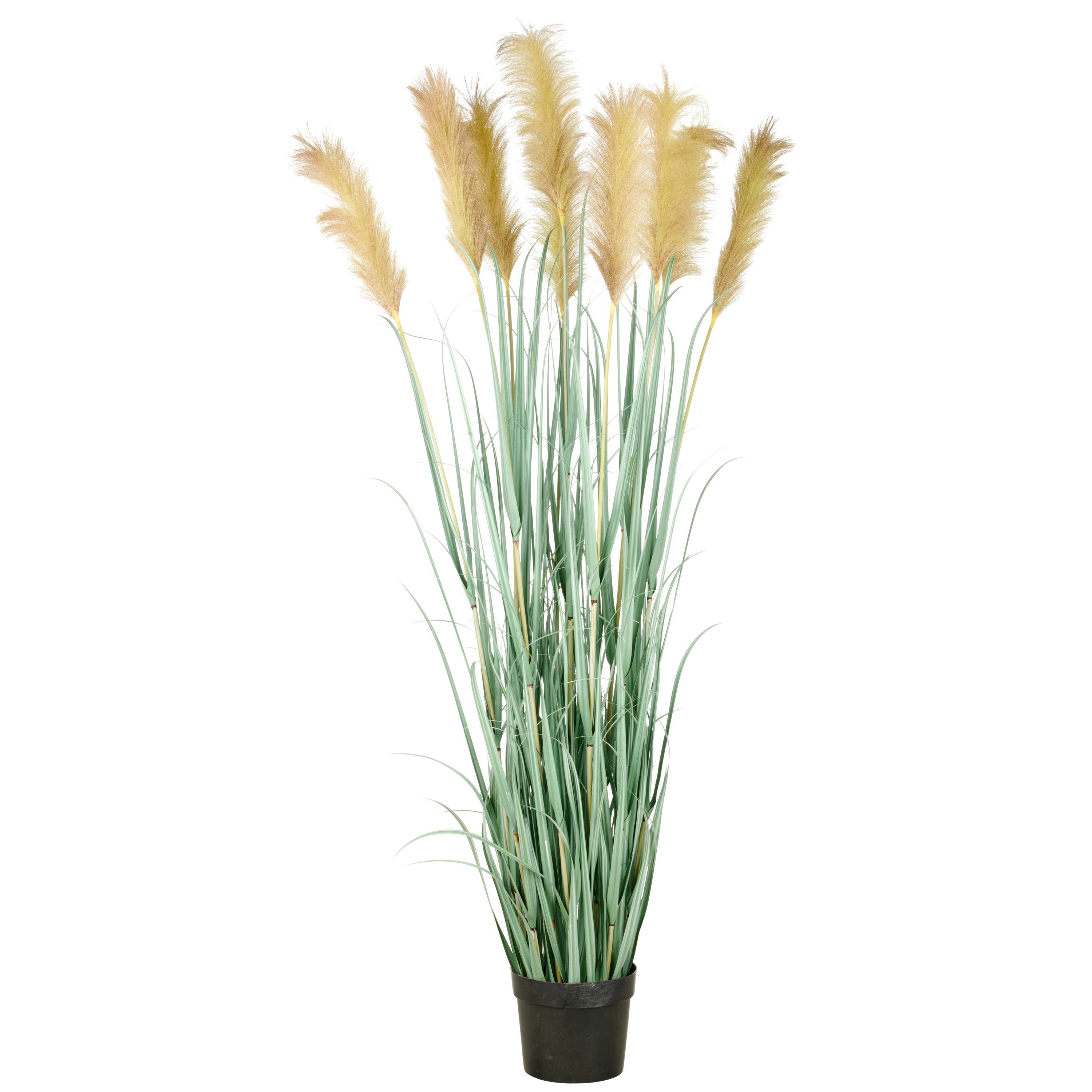 Kunstpflanze Cortaderiagras Creme/Grau/Grün ca. 175cm - Creme/Grau, Basics, Kunststoff (25/175/25cm)