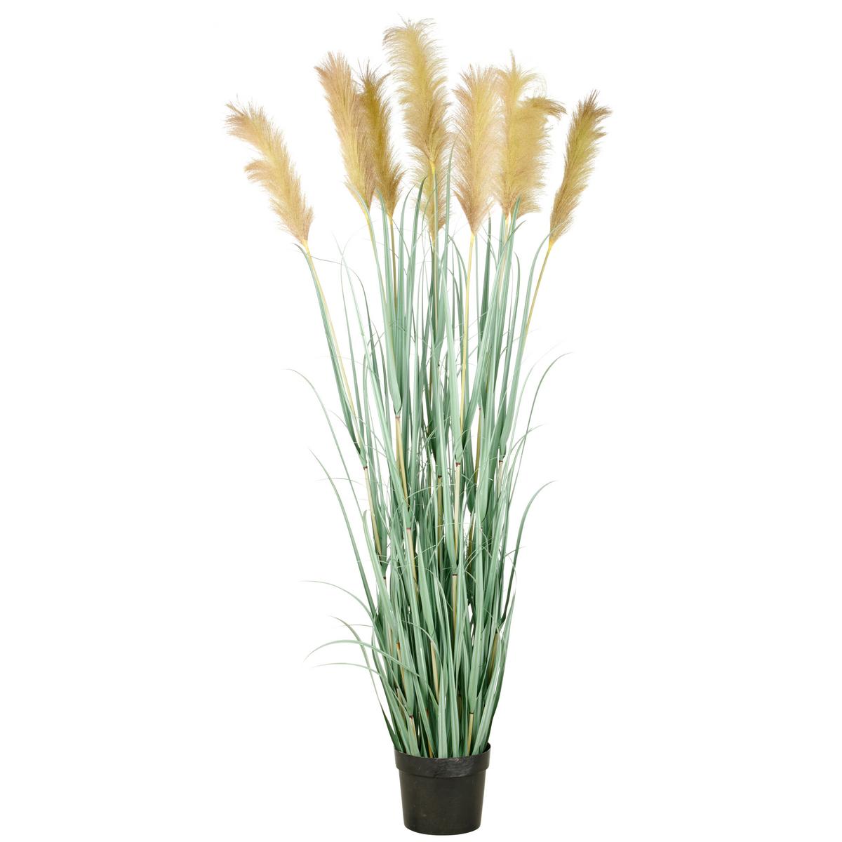 Kunstpflanze Cortaderiagras Creme/Grau/Grün ca. 175cm - Creme/Grau, Basics, Kunststoff (25/175/25cm)