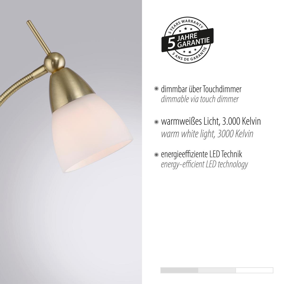 LED-Stehleuchte Pino Dimmbar max. 2,6 Watt - Basics (74/74/163cm) - Paul Neuhaus