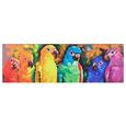Bild Parrot Multicolor ca.140x45x4cm - Blau/Rot, MODERN, Holz/Textil (140/45/4cm) - Bessagi Home Bild Parrot Multicolor ca.140x45x4cm - Blau/Rot, MODERN, Holz/Textil (140/45/4cm) - Bessagi Home