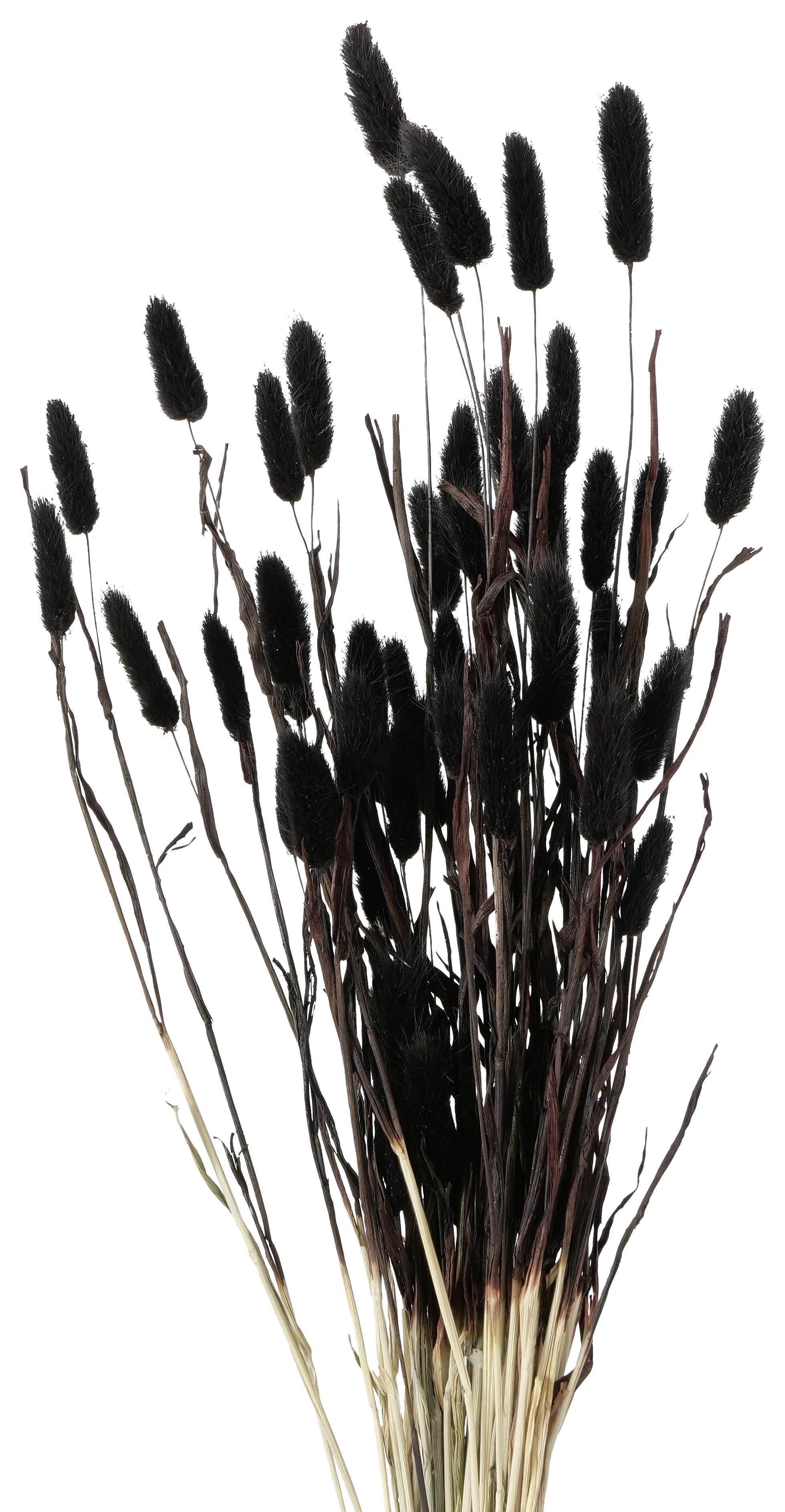Umetna Rastlina Samtgras I -Paz- - siva/črna, Moderno, naravni materiali (16/70cm) - Modern Living