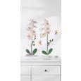 Dekosticker Orchidee in Weiß - Multicolor, Kunststoff (50/70cm) - MÖMAX modern living