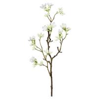 Dekozweig Scheinquittenzweig I Braun/Weiß - Weiß/Braun, Basics, Kunststoff/Textil (51cm) - Mömax