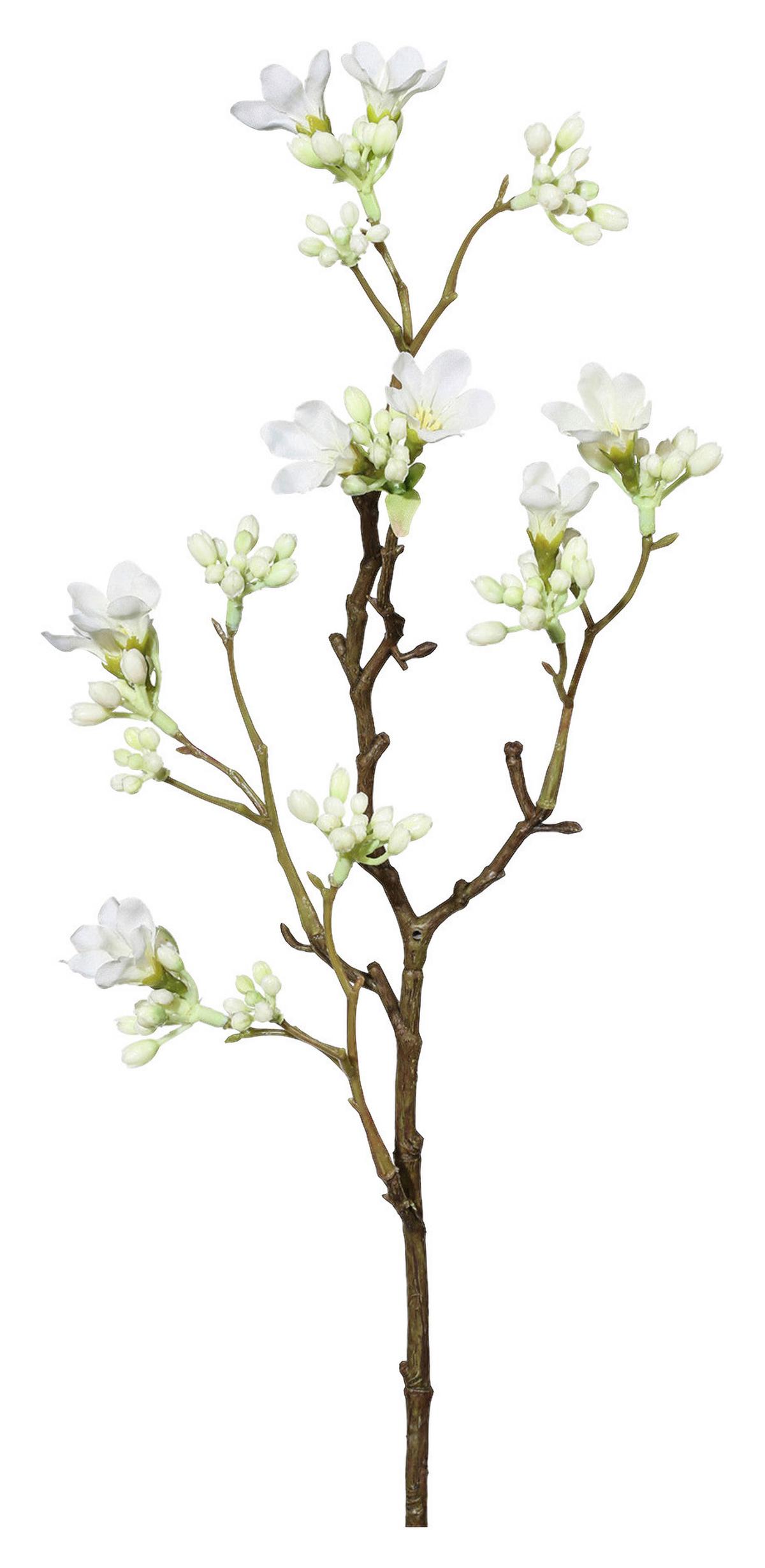 Dekozweig Scheinquittenzweig I Braun/Weiß - Weiß/Braun, Basics, Kunststoff/Textil (51cm) - Mömax