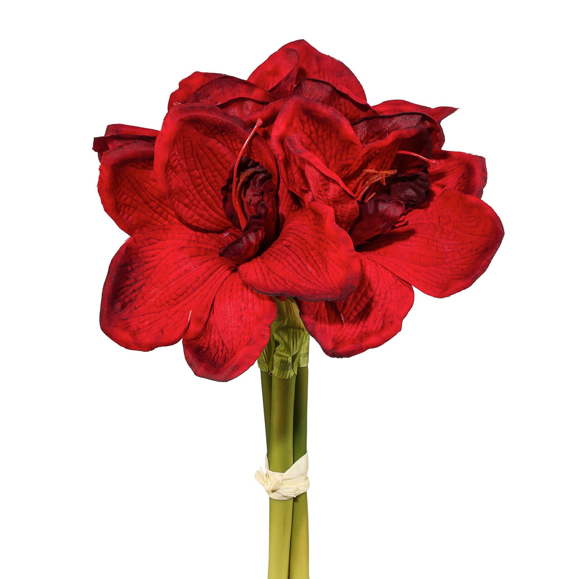 Kunstpflanze Amaryllis-Bund Dunkelrot/Grün - Dunkelrot/Grün, Basics, Kunststoff (32cm)
