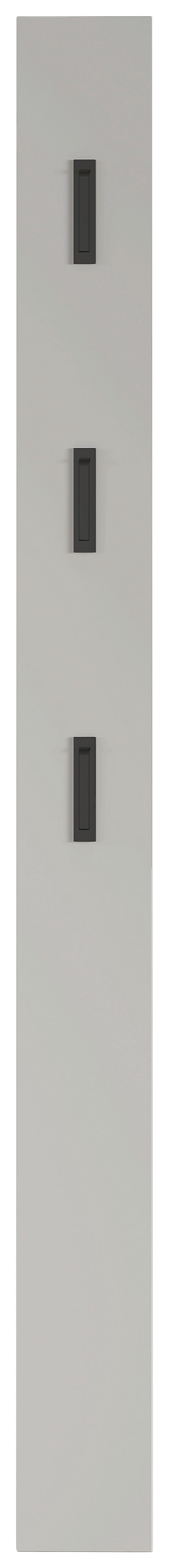 Garderobenpaneel in Kaschmir - Kaschmir, Modern, Holzwerkstoff (15/170/3cm) - Mömax