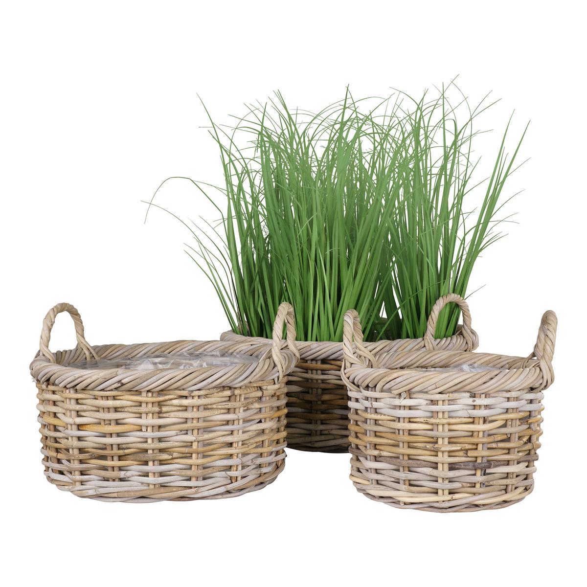 Korbset Kuta Baskets Hellbraun - Hellbraun, Basics, Holz (50/28/50cm)