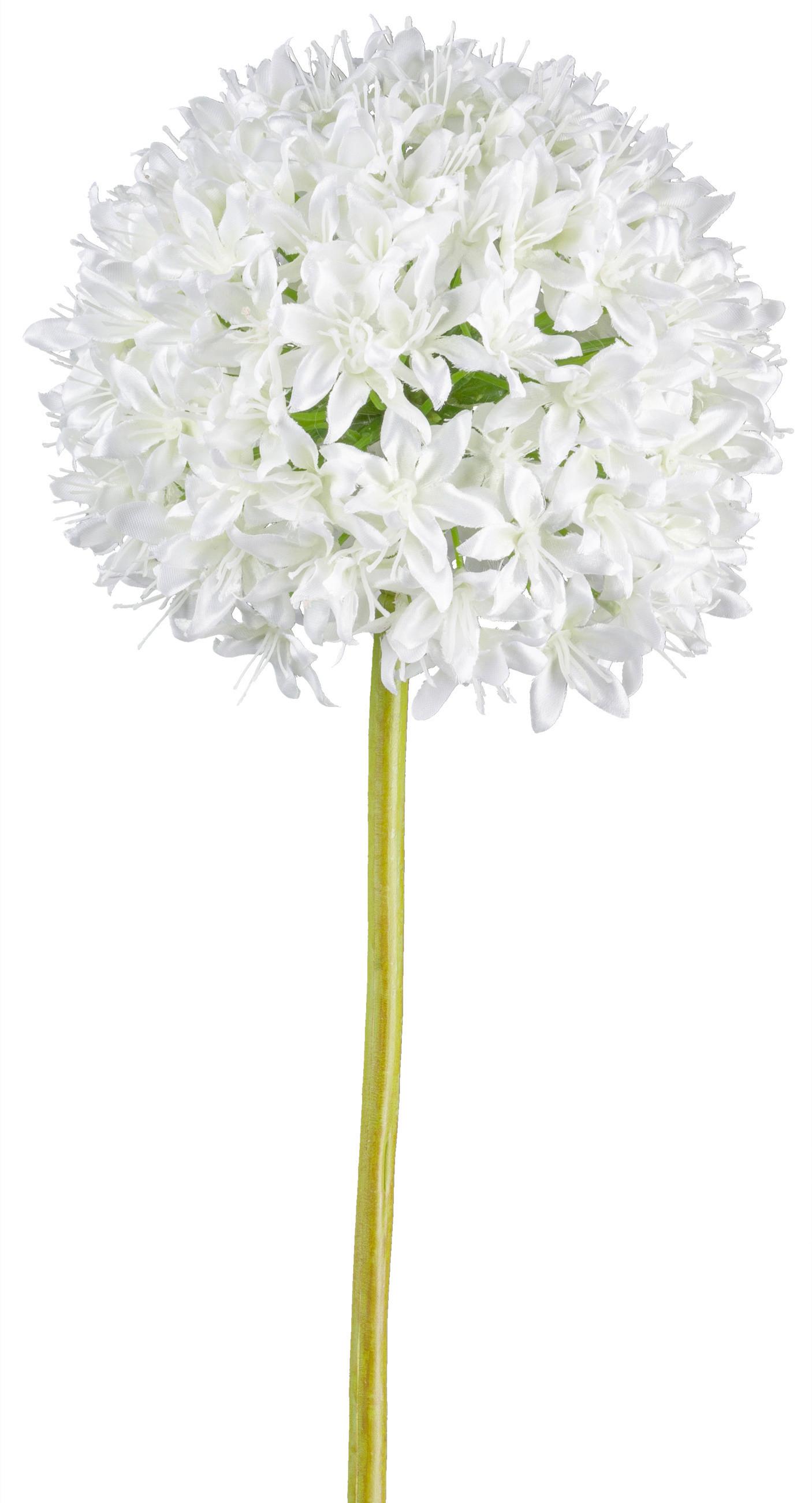 Allium II Weiß/Grün - Weiß/Grün, Basics, Kunststoff/Metall (89cm)