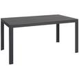 Gartentisch Sammy in Grau - Grau, Kunststoff/Metall (150/74/90cm)