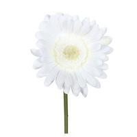 Kunstblume Gerbera I Weiss/Grün - Weiss/Grün, Konventionell, Kunststoff (50cm) - Mömax