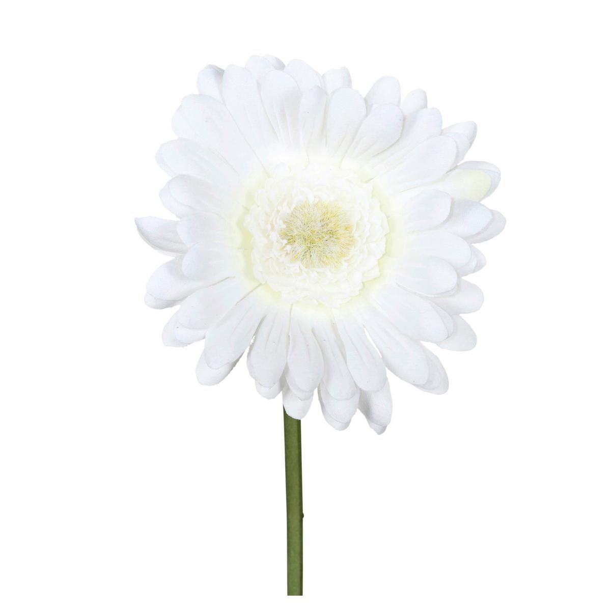Kunstblume Gerbera I Weiss/Grün - Weiss/Grün, Konventionell, Kunststoff (50cm) - Mömax