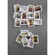 Rame Foto Hans - alb/negru, plastic/carton (61,5/49,5/2cm) - Modern Living Rame Foto Hans - alb/negru, plastic/carton (61,5/49,5/2cm) - Modern Living