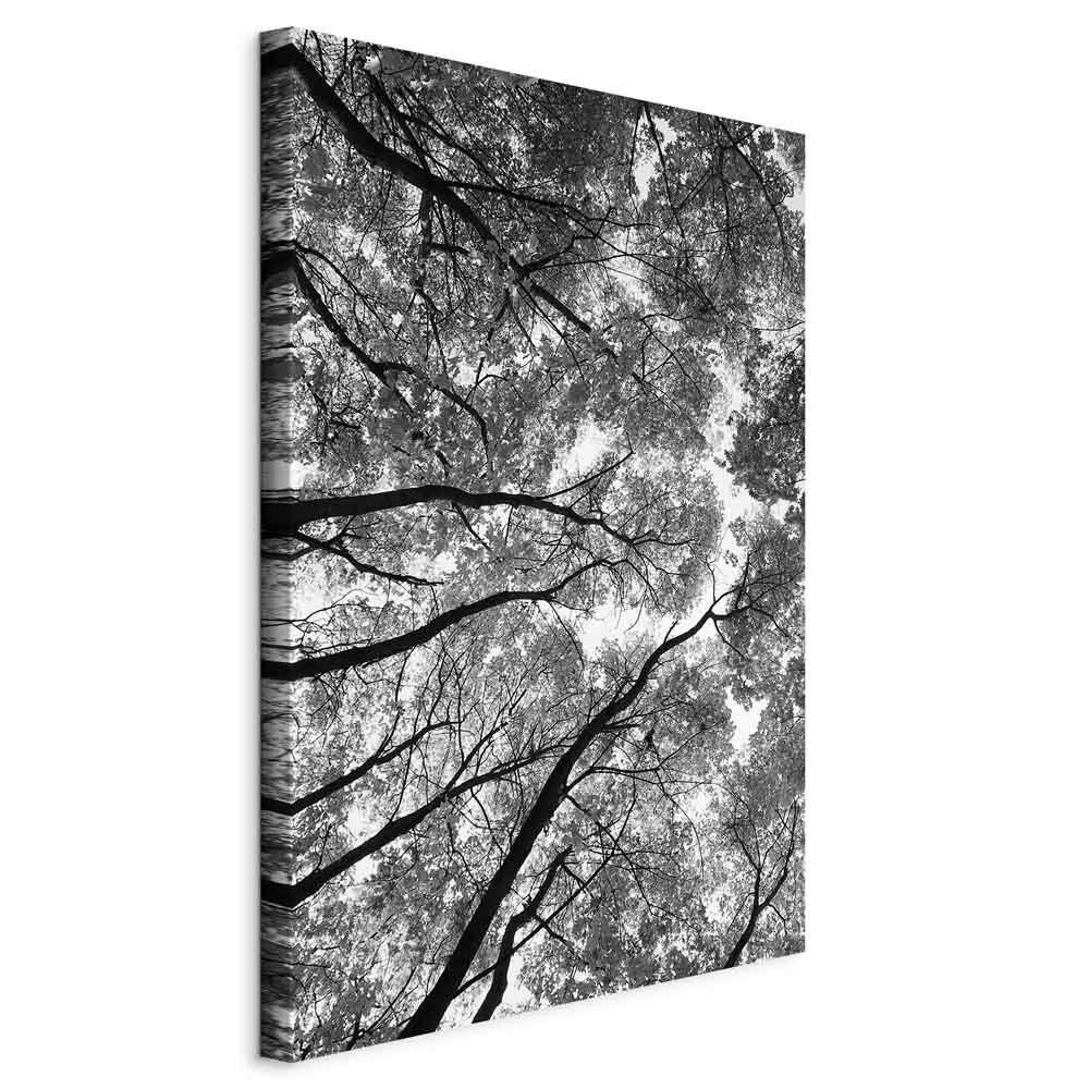 Slika Na Platnu High Trees - črna/bela, Basics, tekstil/leseni material (40/60/1,2cm) - artgeist