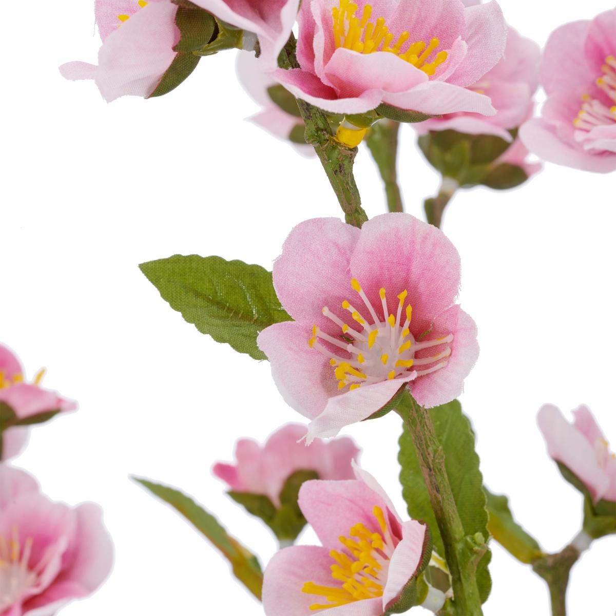 Kirschblütenzweig Kirschblüte Rosa ca. 64cm - Schwarz/Rosa, Basics, Kunststoff/Metall (64cm) - Mömax