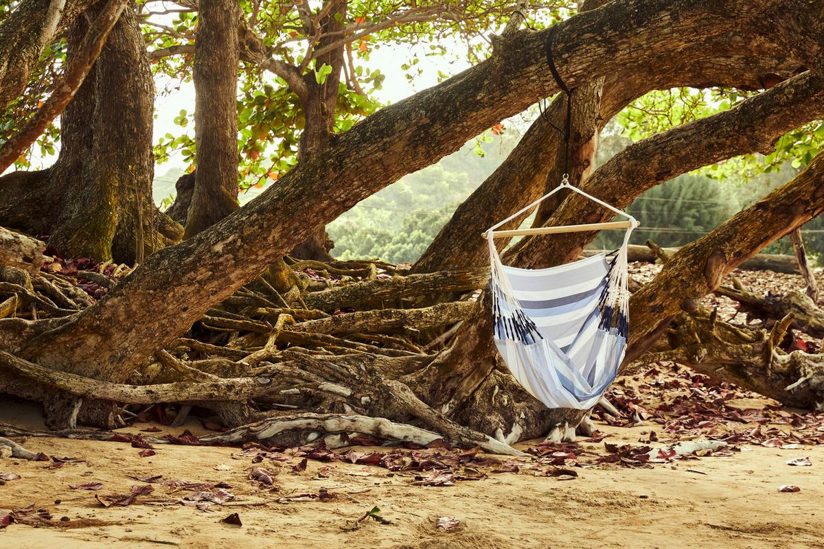 Hängesessel Comfort Hammock Echtholz ca. 110x160x180 cm - Weiß/Dunkelblau, KONVENTIONELL, Holz/Textil (110/160/180cm) - La Siesta
