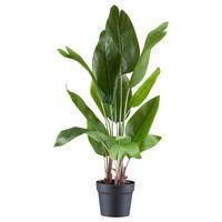 Kunstpflanze Grünpflanze Grün/Braun - Schwarz/Braun, Design, Kunststoff (70cm) - P & B