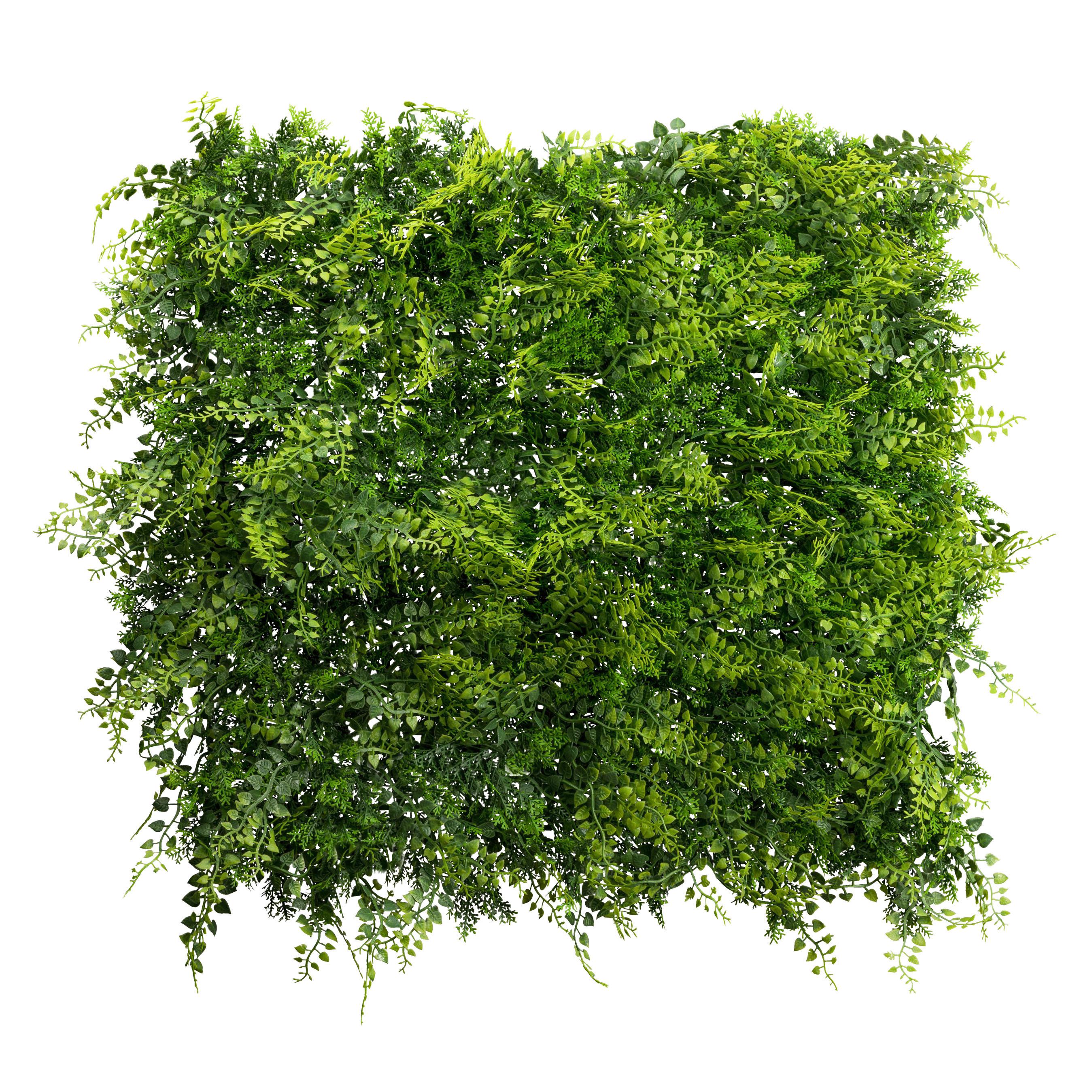 Kunstpflanze Farnmatte in Grün - Grün, LIFESTYLE, Kunststoff (50/50/7cm) - Modern Living