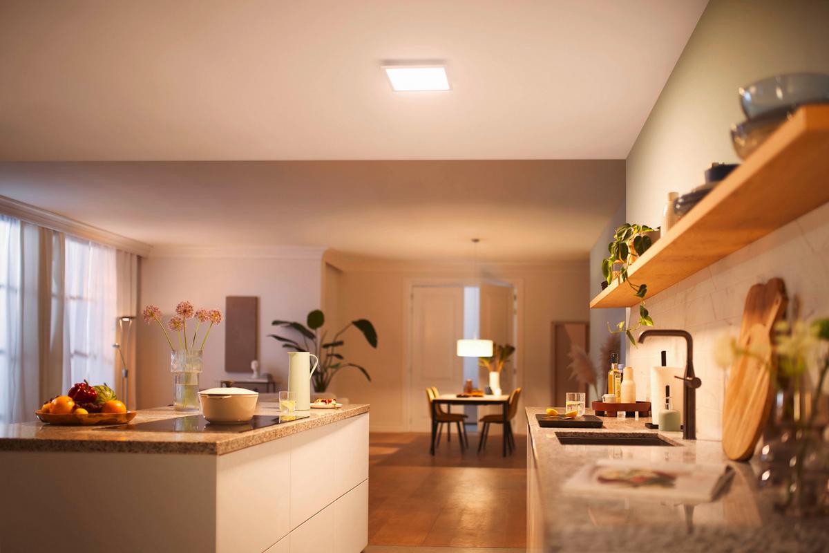 LAMPA SUFITOWA LED 32662000 - biały, Basics, tworzywo sztuczne (30/4,2/30cm) - Philips