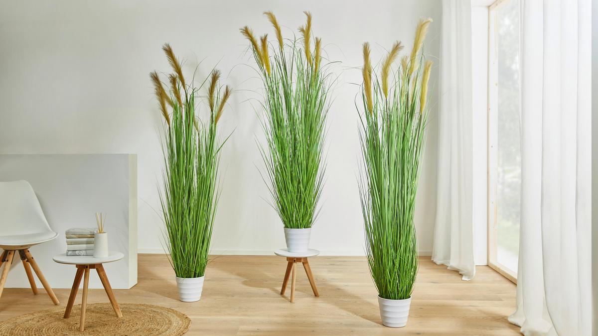 Plantă artificială GRASBUSCH I –JUB- - alb/verde, Natur, plastic (180cm) - Modern Living