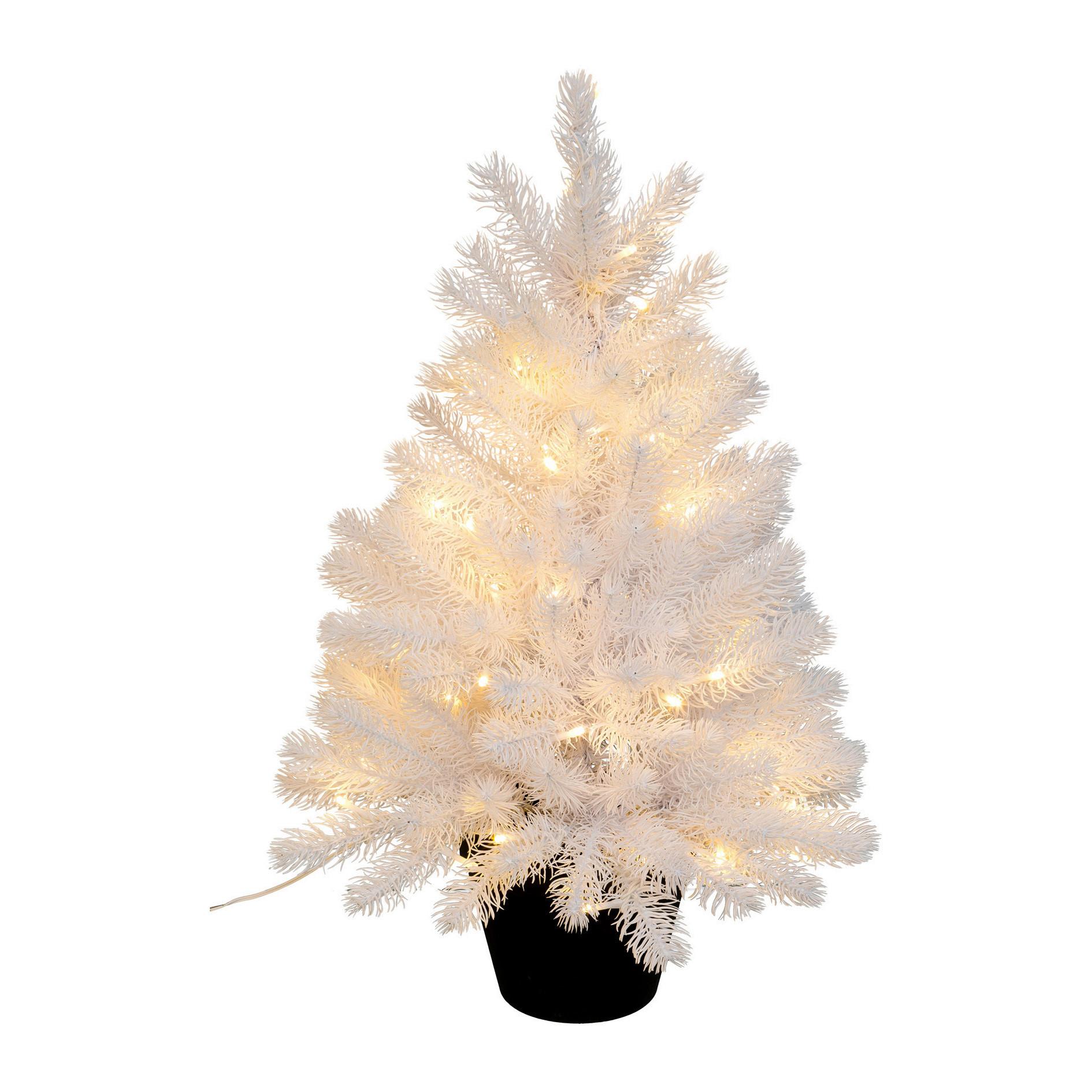 Kunstpflanze Polly mit LED, ca. 60cm - Schwarz/Weiß, Trend, Kunststoff (60cm) - P & B