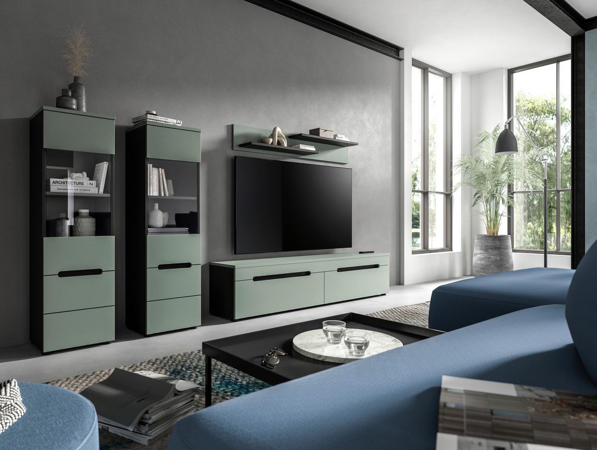 Dnevni Regal Canu, Sivozelena, 4-Delni - črna, Design, umetna masa/leseni material (272/141/33cm) - Livetastic