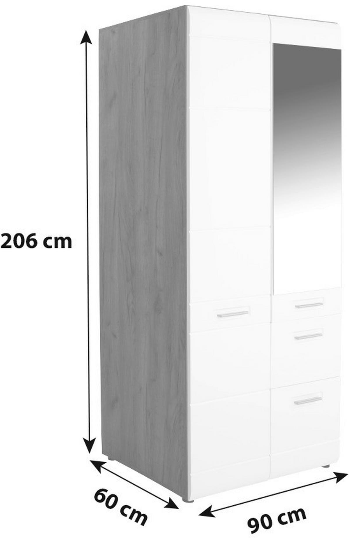 Ruhásszekrény 2 Ajtó 1 Tükör Avensis New - tölgyfa színű/alumíniumszínű, Konventionell, műanyag/faalapú anyag (90/205,7/60cm) - Luca Bessoni