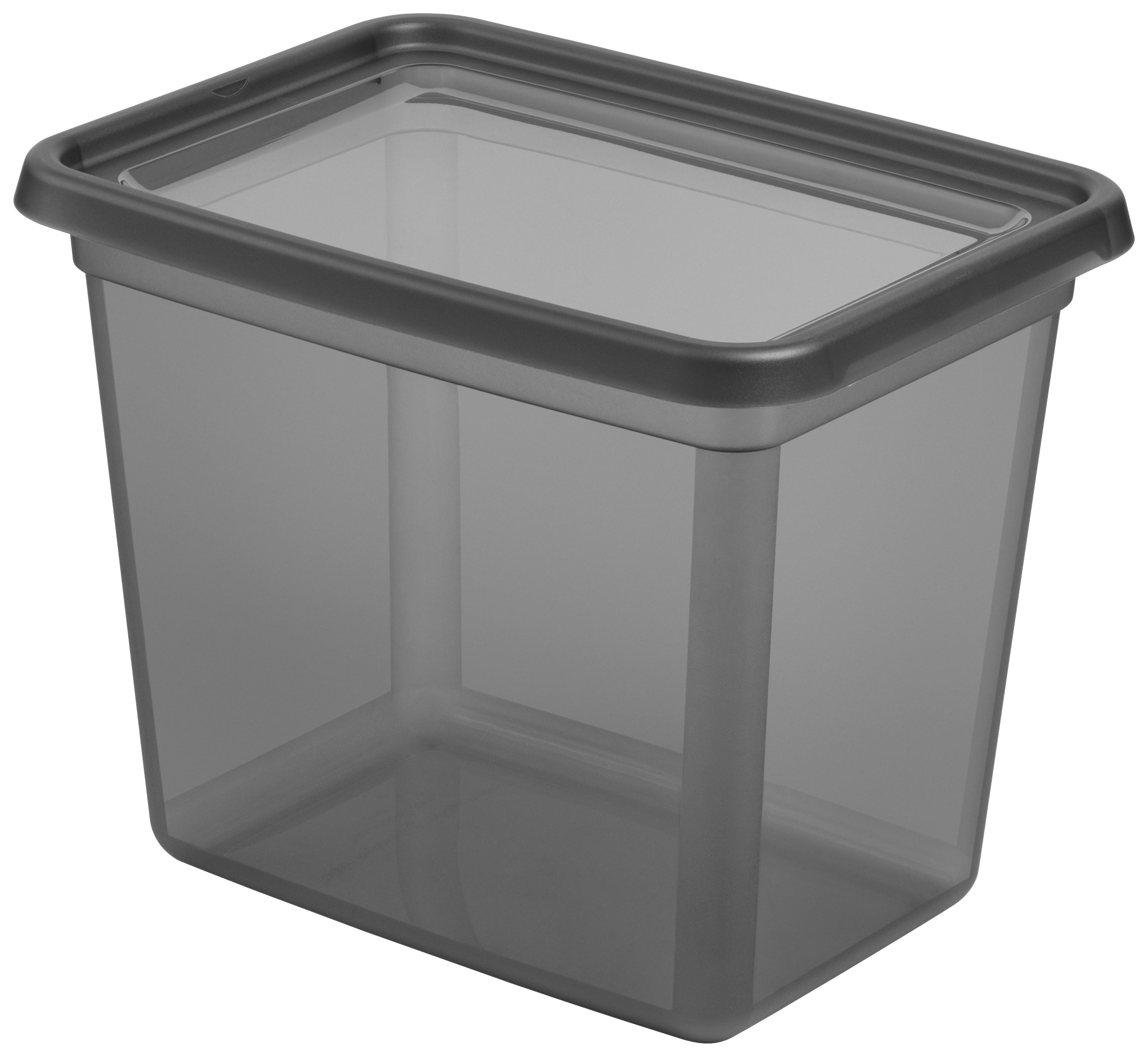 Aufbewahrungsbox Blacky in Schwarz ca. 20l - Transparent/Schwarz, Modern, Kunststoff (28/38/30cm) - Premium Living