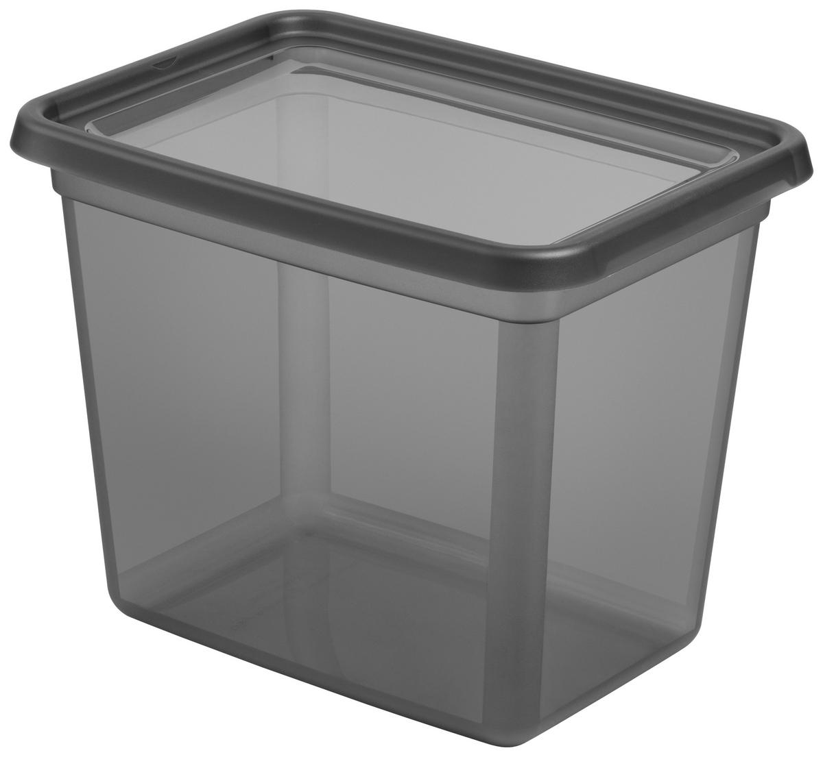 Aufbewahrungsbox Blacky in Schwarz ca. 20l - Transparent/Schwarz, Modern, Kunststoff (28/38/30cm) - Mömax