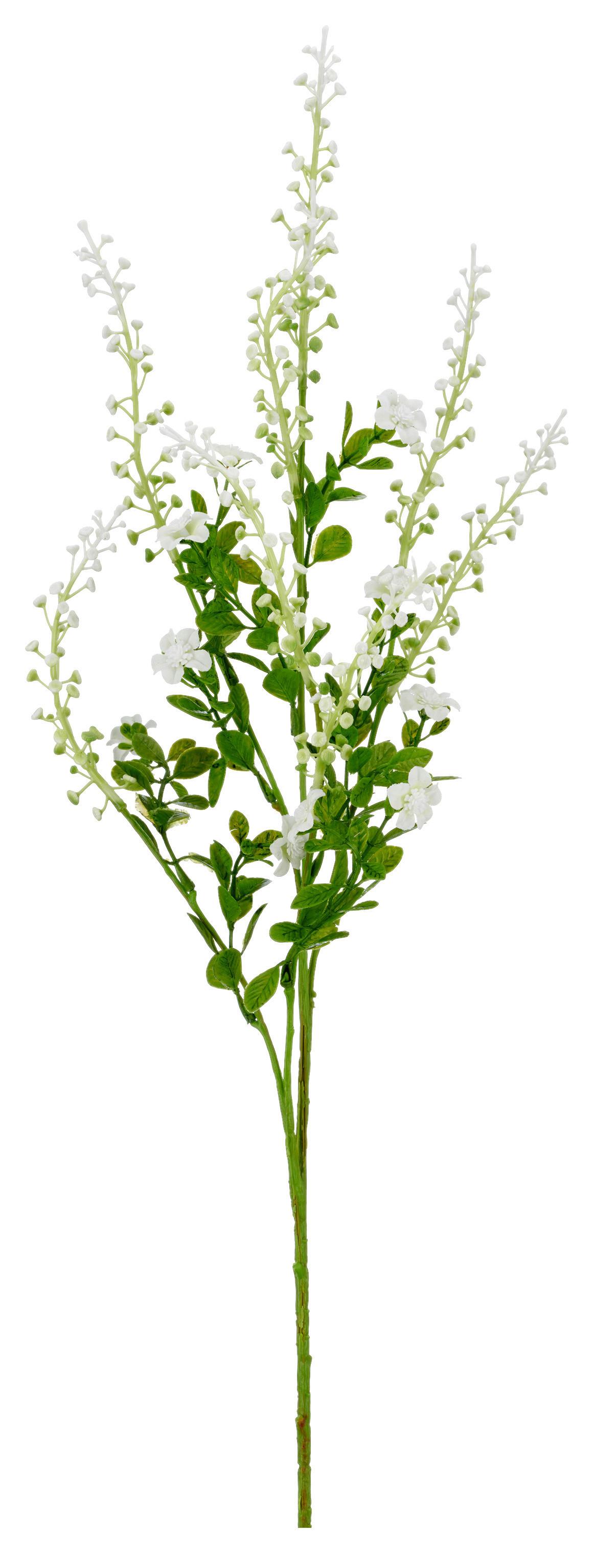 Ukrasna Grančica Phytolacca I -Paz- - zelena/bela, Konvencionalno, plastika (72cm) - Mömax