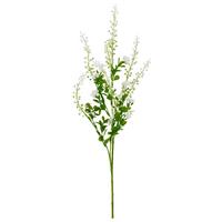 Ukrasna Grančica Phytolacca I -Paz- - zelena/bela, Konvencionalno, plastika (72cm) - Mömax