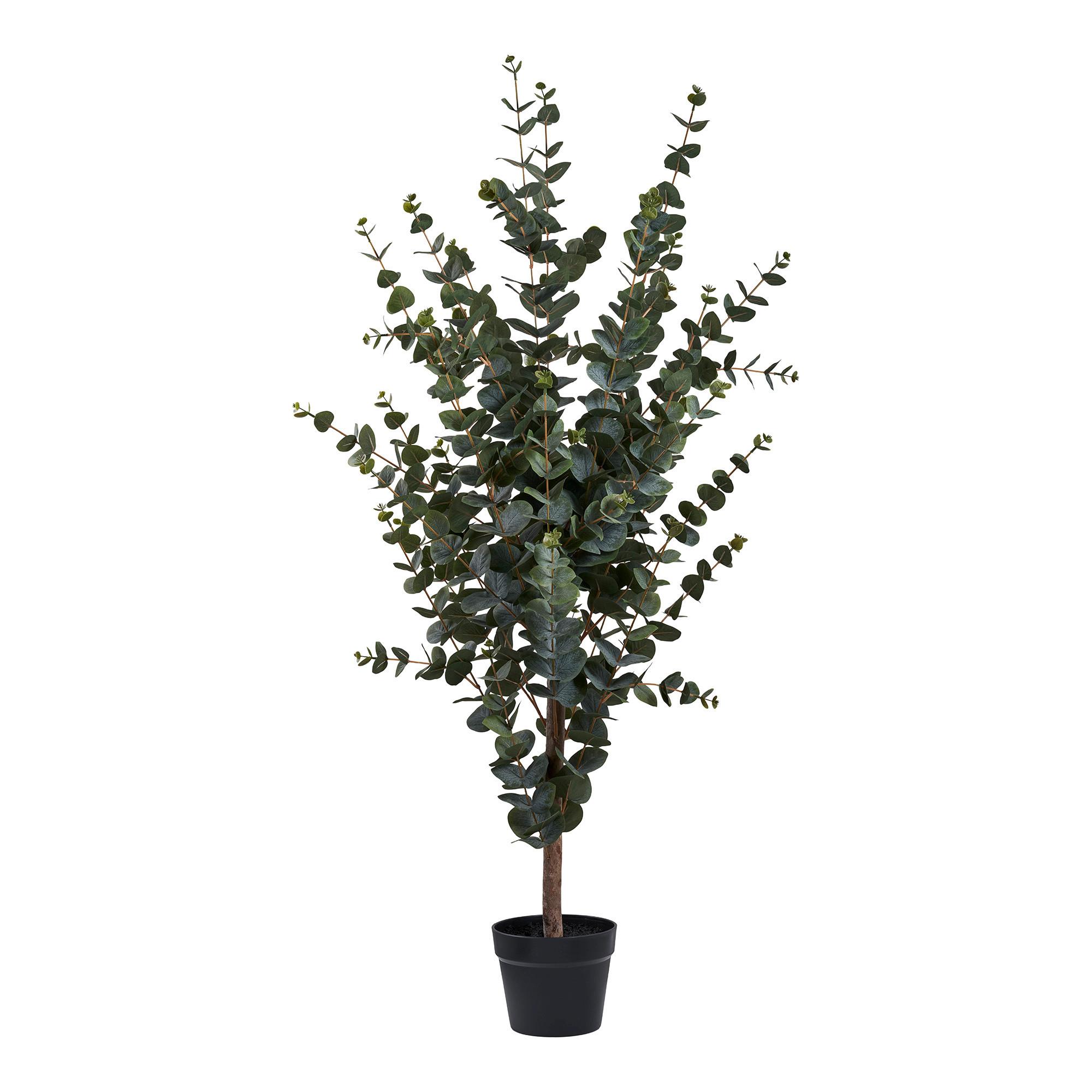 Kunstpflanze Eukalyptus Grün - Grün, Design (46/120/36cm)