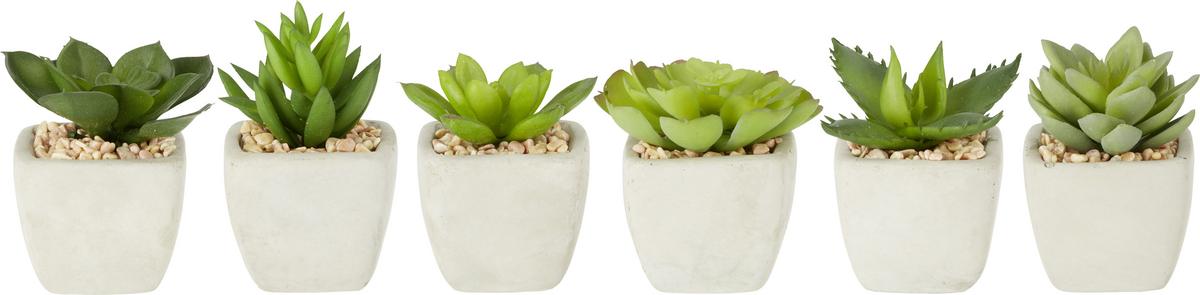 Plantă artificială Sukkulente - verde, Lifestyle, plastic (7-9cm) - Modern Living