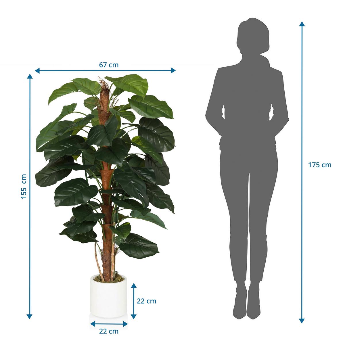 Umetna Rastlina Epipremnum - zelena/bela, Moderno, umetna masa (67/155/60cm) - MID.YOU