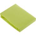 Gumis Lepedő Basic - zöld, textil (180/200cm) - MÖMAX modern living