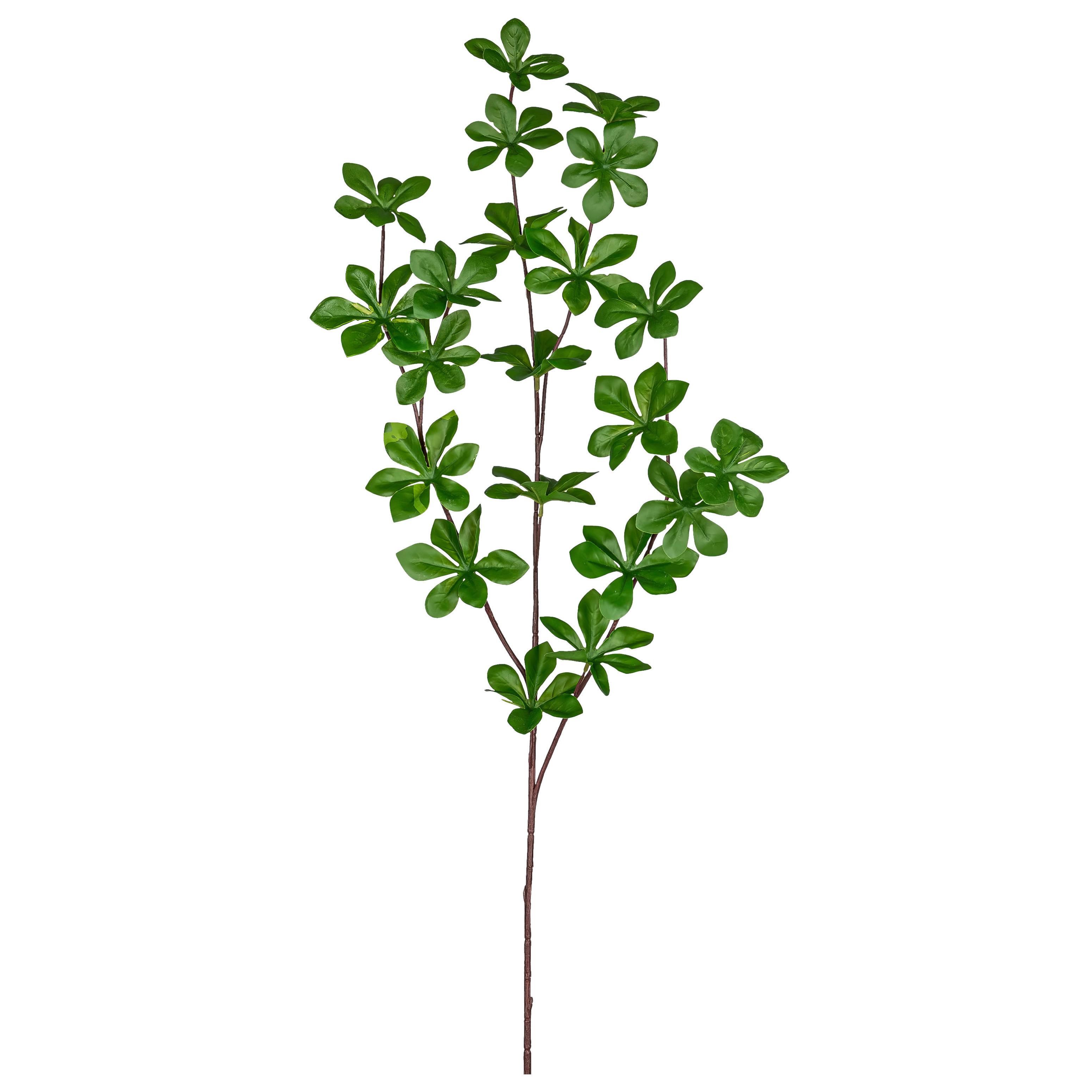 Dekozweig Louisianazweig II Grün/Braun - Braun/Grün, KONVENTIONELL, Kunststoff (71cm) - Mömax