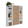 Aktenschrank Office Edition Sw Set 3 Weiß/Eichefarben - Eichefarben/Weiß, MODERN, Holzwerkstoff (173/186/33cm) - MID.YOU