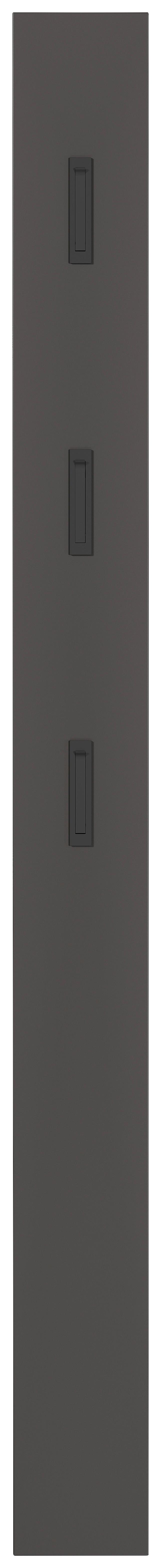 Garderobenpaneel in Graphitfarben - Graphitfarben, Modern, Holzwerkstoff (15/170/3cm) - Mömax