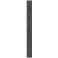 Garderobenpaneel in Graphitfarben - Graphitfarben, Modern, Holzwerkstoff (15/170/3cm) - Mömax