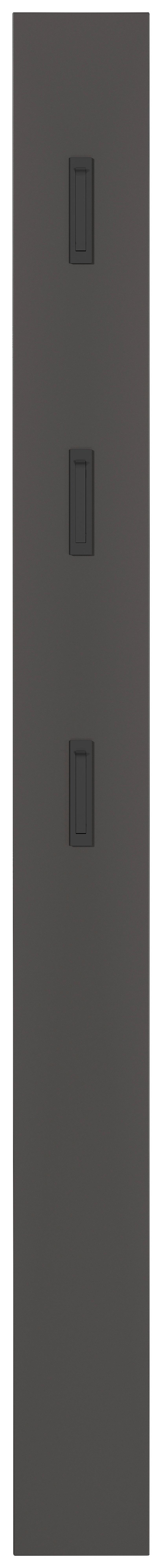 Garderobenpaneel in Graphitfarben - Graphitfarben, Modern, Holzwerkstoff (15/170/3cm) - Mömax