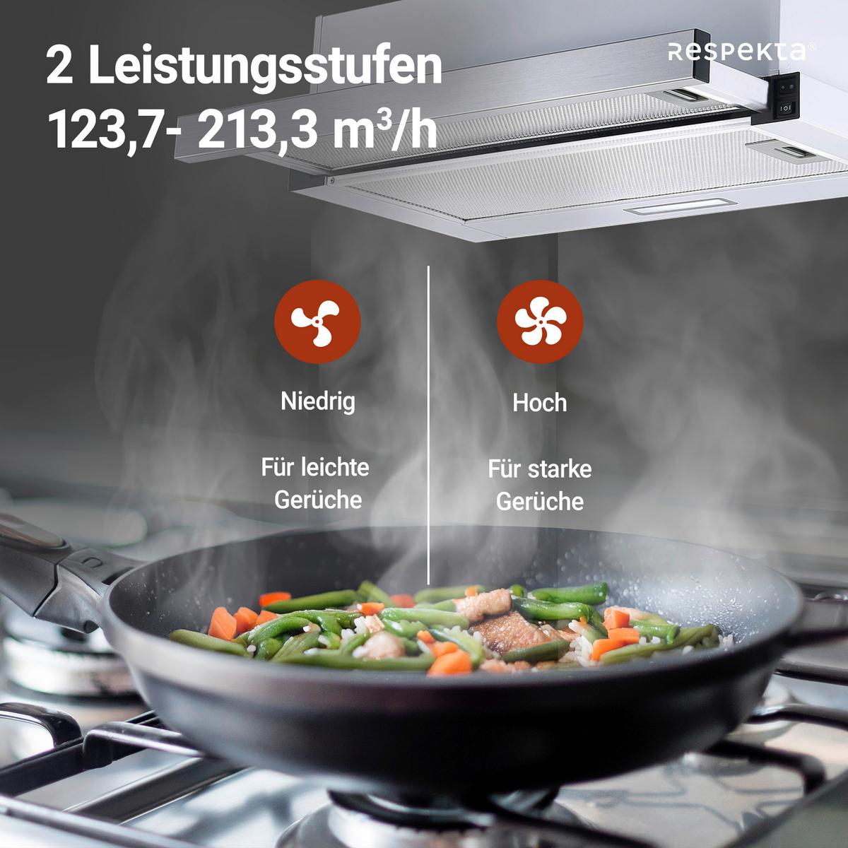 Dunstabzugshaube Tessa ca. 60/19,3/43 cm Edelstahlfarben - Edelstahlfarben, Trend, Metall (60/19,3/43cm) - Respekta