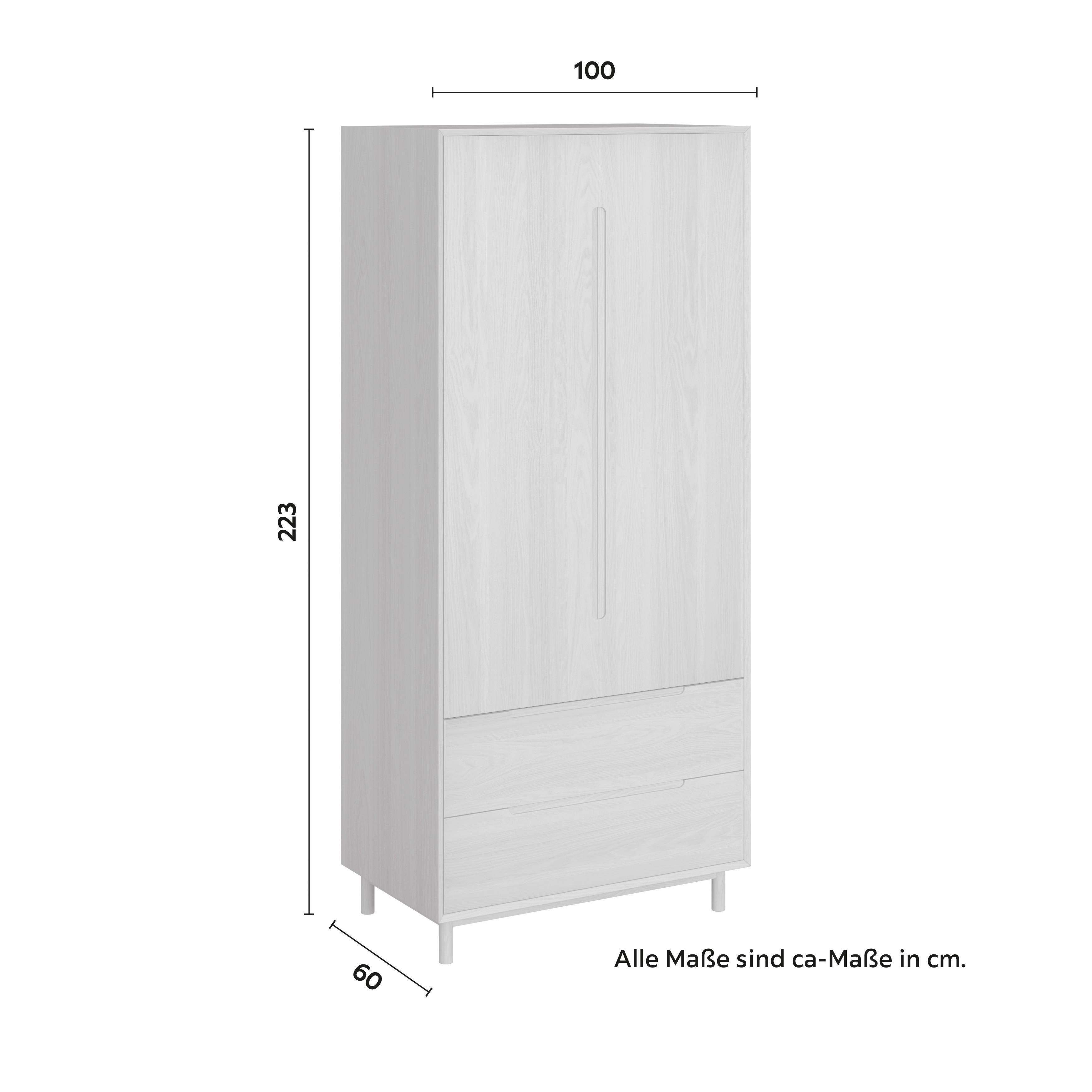 GARDEROB MARLO - ekfärgad, Modern, trämaterial/trä (100/223/60cm) - Bessagi Home