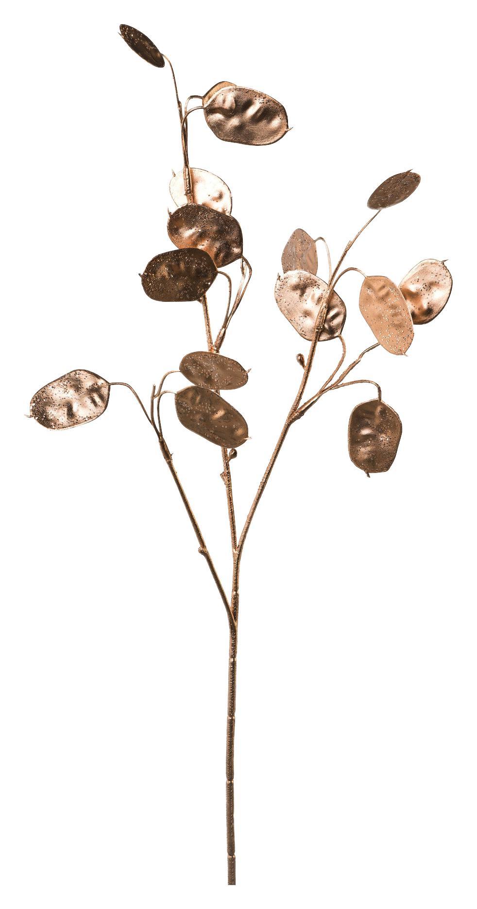 Dekozweig Pfennigblattzweig - Champagner, Kunststoff (50cm)